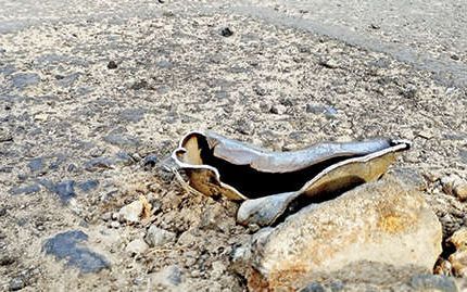 കണ്ണുതുറന്ന് നോക്കണം സാർ, ഈ കുറ്റിയുണ്ടാക്കുന്ന അപകടം